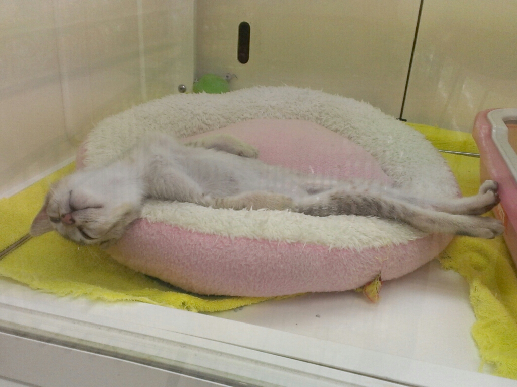 退屈ばんざぁい